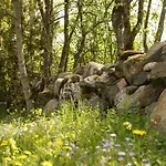 Holiday home Uneallika Saunaga Puhkemaja