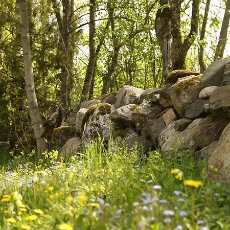 度假居 Uneallika Saunaga Puhkemaja