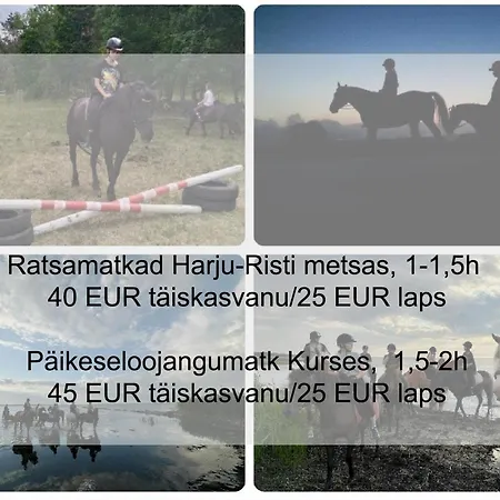 Uneallika Saunaga Puhkemaja 度假居 *