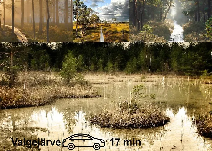 Uneallika Saunaga Puhkemaja * Pae