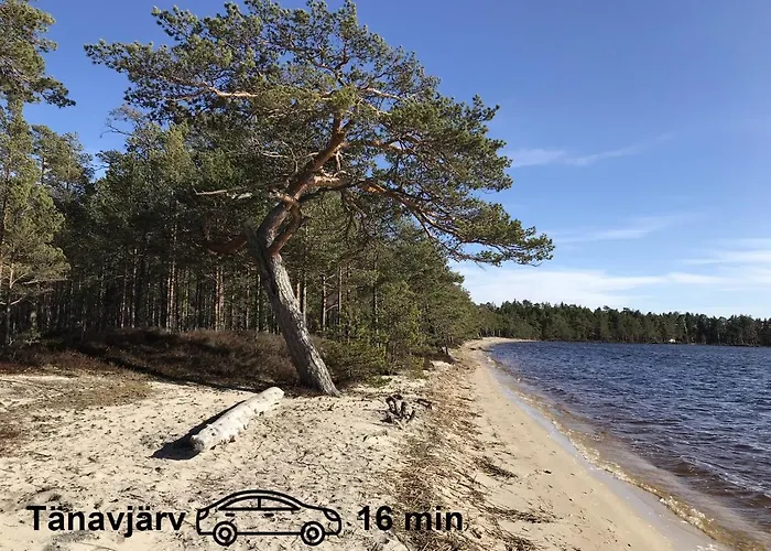 Uneallika Saunaga Puhkemaja Vakantiehuis