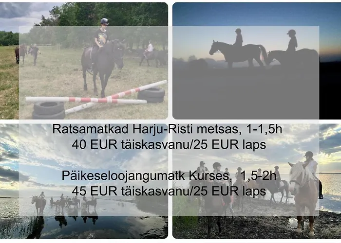 Uneallika Saunaga Puhkemaja Vakantiehuis *